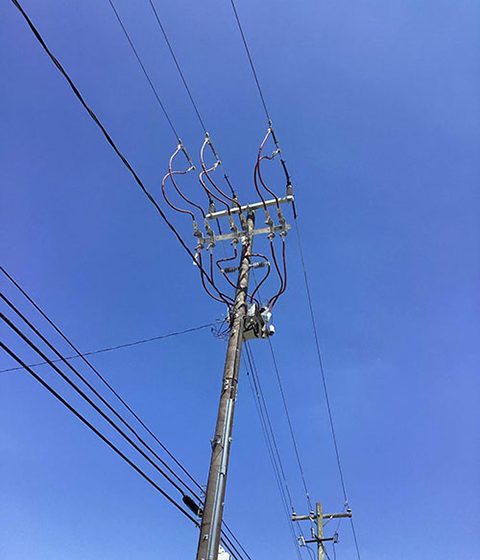 Coastal Island Distribution Line Upgrade